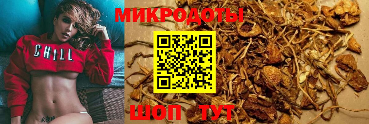 Кулебаки  Галлюциногенные грибы GOLDEN TEACHER  Вход с VPN 